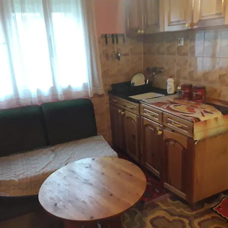 -na Dan-apartman- 招待所 谢尼察